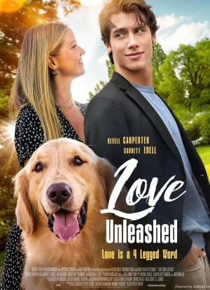 В поисках любви 2025